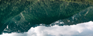 Appel à contribution : Youth Activism in Environmental Politics