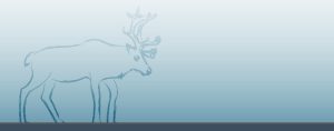 Publication du rapport : Réussite éducative et renforcement identitaire des Innus dans des écoles québécoises de la Moyenne-Côte-Nord