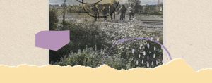 Table ronde | Éducation, environnement et territoires : perspectives autochtones et décolonisation des savoirs