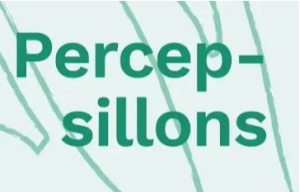 Brunelle, N., Garceau, G., LeBlanc, M., Vega Lopez, A., Lauzon, E. et Asselin Maher, V. (2024). Percep-sillons: Récits de judiciarisation et de (ré)intégration. Les Éditions La Galère.